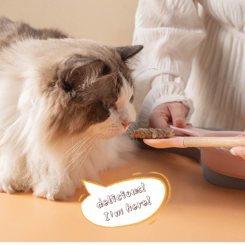 Pet Cat Canned Food Spoon, Woo - Baby Food Kitten 评论和价格