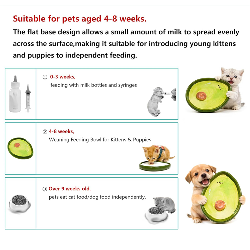 Cat Bowls Baby Cats Kittens Fo - Baby Food Kitten 评论和价格